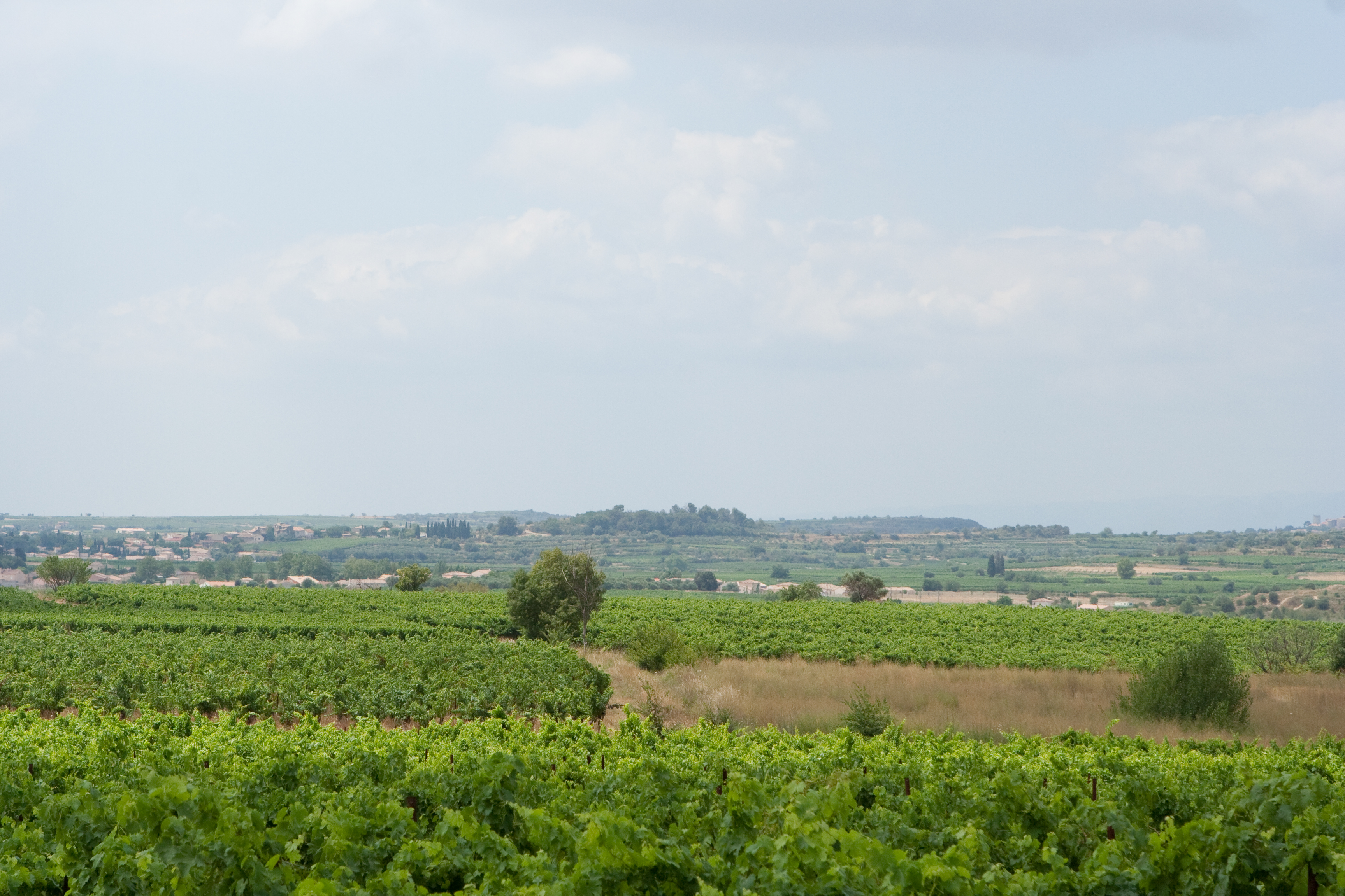 vakantie 2009 ontdekkingsreis-002.jpg